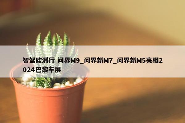 智驾欧洲行 问界M9_问界新M7_问界新M5亮相2024巴黎车展