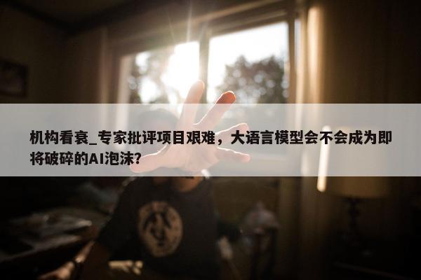 机构看衰_专家批评项目艰难，大语言模型会不会成为即将破碎的AI泡沫？