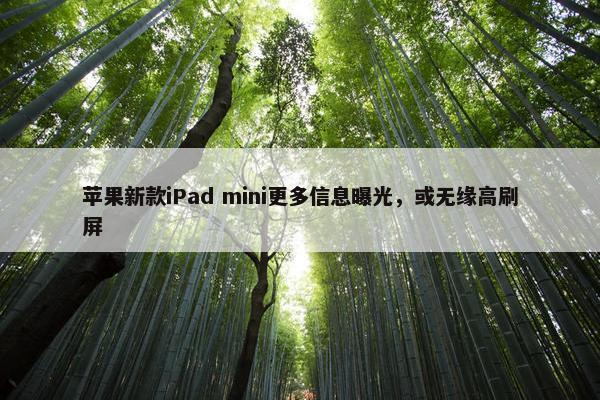 苹果新款iPad mini更多信息曝光，或无缘高刷屏