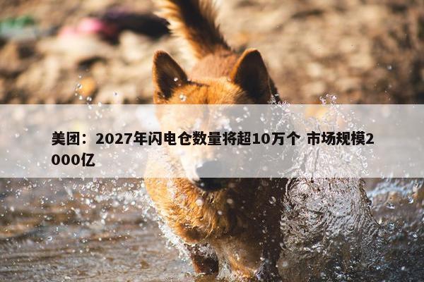 美团：2027年闪电仓数量将超10万个 市场规模2000亿