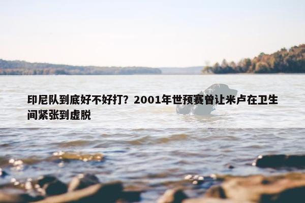 印尼队到底好不好打？2001年世预赛曾让米卢在卫生间紧张到虚脱