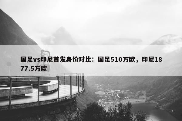 国足vs印尼首发身价对比：国足510万欧，印尼1877.5万欧