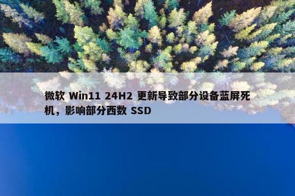 微软 Win11 24H2 更新导致部分设备蓝屏死机，影响部分西数 SSD