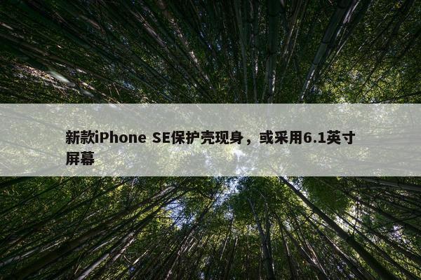 新款iPhone SE保护壳现身，或采用6.1英寸屏幕