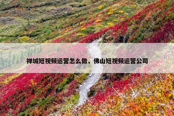 禅城短视频运营怎么做，佛山短视频运营公司