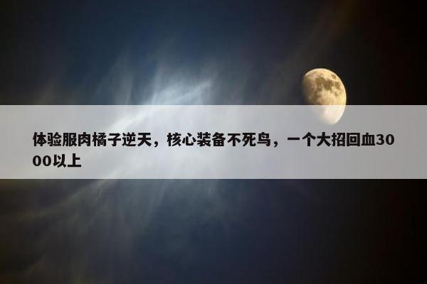 体验服肉橘子逆天，核心装备不死鸟，一个大招回血3000以上