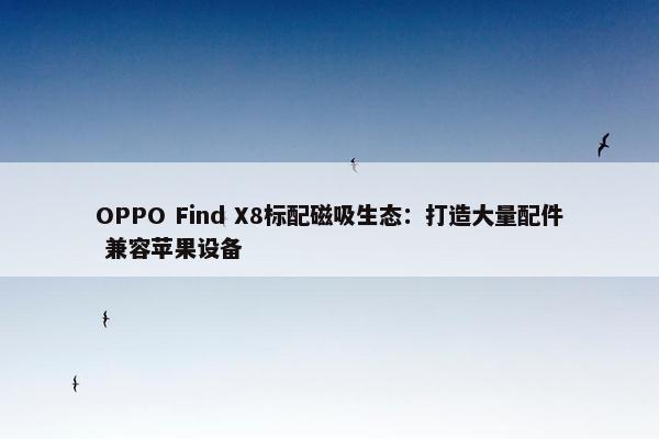 OPPO Find X8标配磁吸生态：打造大量配件 兼容苹果设备