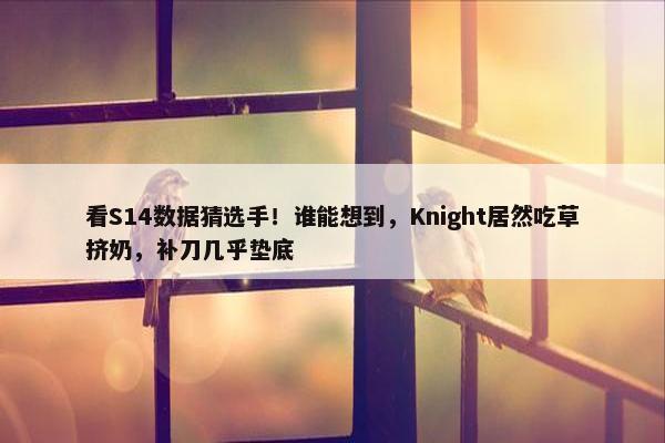 看S14数据猜选手！谁能想到，Knight居然吃草挤奶，补刀几乎垫底