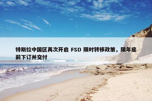 特斯拉中国区再次开启 FSD 限时转移政策，限年底前下订并交付