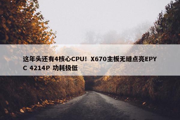 这年头还有4核心CPU！X670主板无缝点亮EPYC 4214P 功耗极低