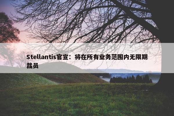 Stellantis官宣：将在所有业务范围内无限期裁员