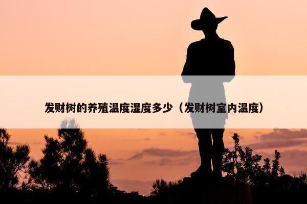 发财树的养殖温度湿度多少（发财树室内温度）