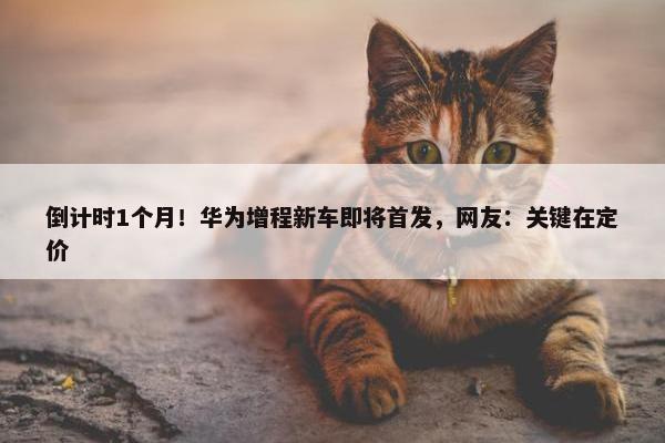 倒计时1个月！华为增程新车即将首发，网友：关键在定价