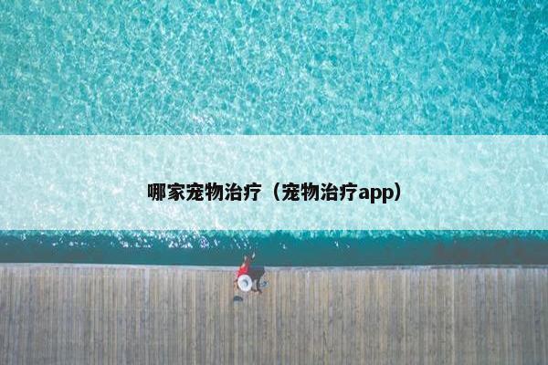 哪家宠物治疗（宠物治疗app）