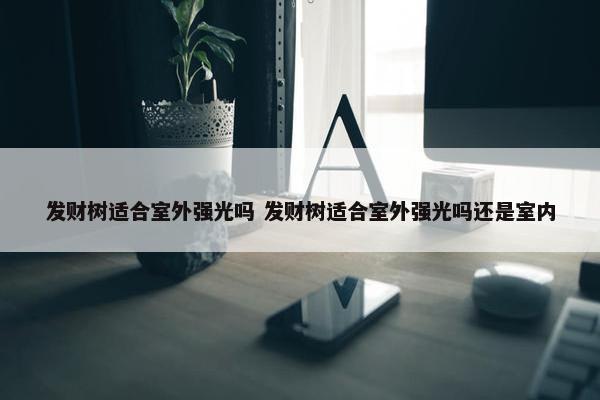 发财树适合室外强光吗 发财树适合室外强光吗还是室内