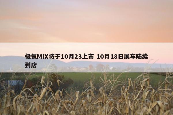 极氪MIX将于10月23上市 10月18日展车陆续到店