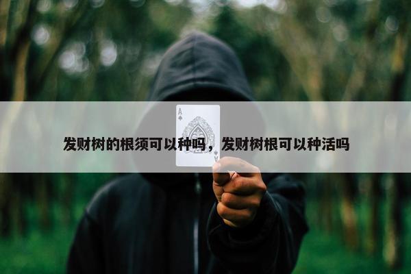 发财树的根须可以种吗，发财树根可以种活吗