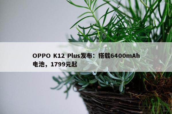 OPPO K12 Plus发布：搭载6400mAh电池，1799元起