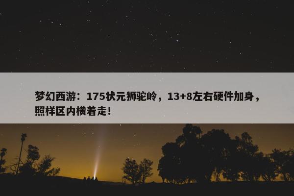 梦幻西游：175状元狮驼岭，13+8左右硬件加身，照样区内横着走！