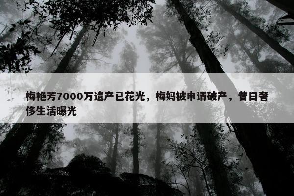 梅艳芳7000万遗产已花光，梅妈被申请破产，昔日奢侈生活曝光