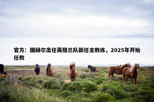 官方：图赫尔出任英格兰队新任主教练，2025年开始任教