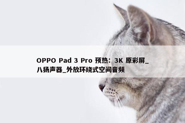 OPPO Pad 3 Pro 预热：3K 原彩屏_八扬声器_外放环绕式空间音频