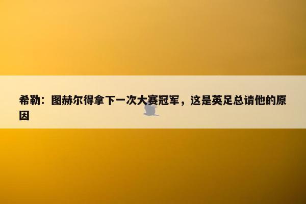 希勒：图赫尔得拿下一次大赛冠军，这是英足总请他的原因