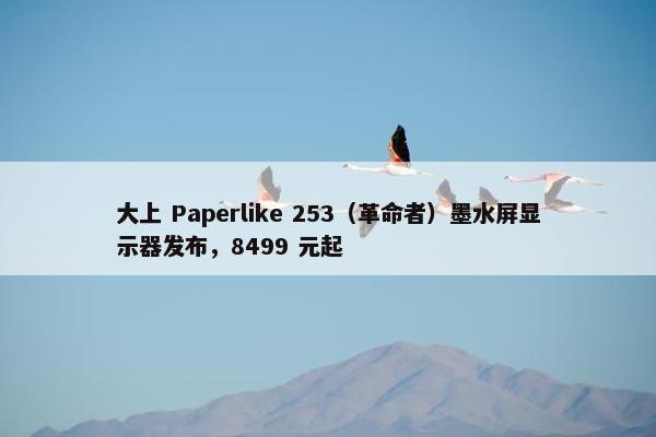 大上 Paperlike 253（革命者）墨水屏显示器发布，8499 元起