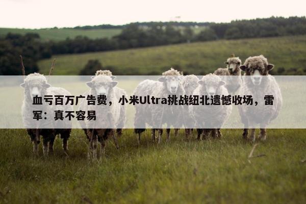 血亏百万广告费，小米Ultra挑战纽北遗憾收场，雷军：真不容易