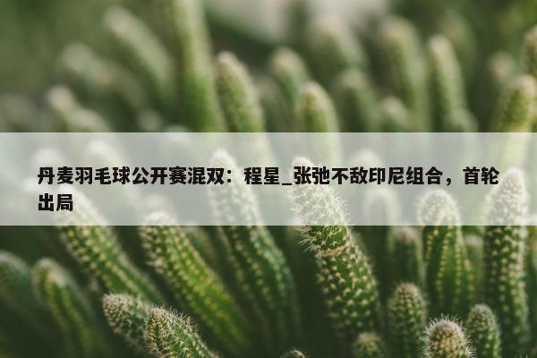 丹麦羽毛球公开赛混双：程星_张弛不敌印尼组合，首轮出局