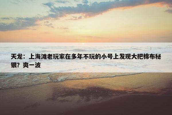 天龙：上海滩老玩家在多年不玩的小号上发现大把棉布秘银？爽一波