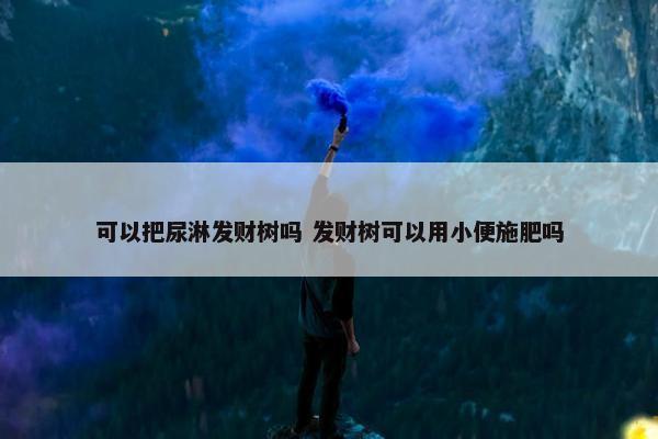 可以把尿淋发财树吗 发财树可以用小便施肥吗