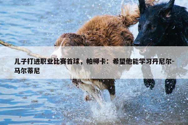 儿子打进职业比赛首球，帕柳卡：希望他能学习丹尼尔-马尔蒂尼