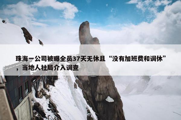 珠海一公司被曝全员37天无休且“没有加班费和调休”，当地人社局介入调查