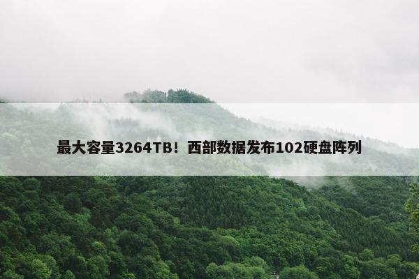 最大容量3264TB！西部数据发布102硬盘阵列