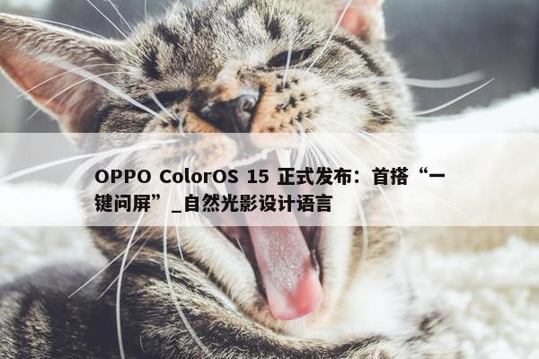 OPPO ColorOS 15 正式发布：首搭“一键问屏”_自然光影设计语言