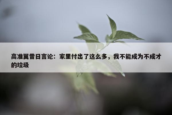 高准翼昔日言论：家里付出了这么多，我不能成为不成才的垃圾