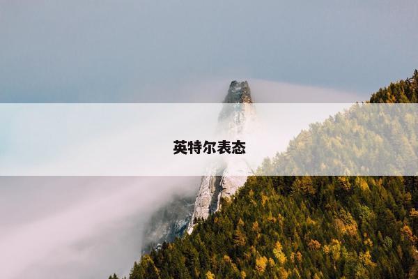 英特尔表态