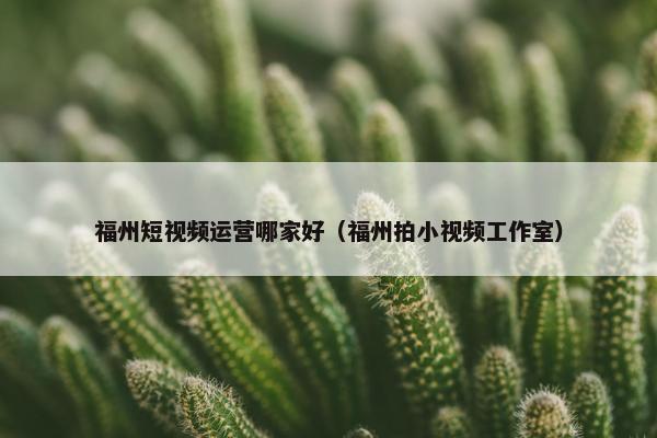 福州短视频运营哪家好（福州拍小视频工作室）