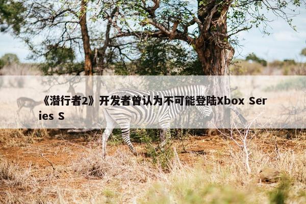 《潜行者2》开发者曾认为不可能登陆Xbox Series S