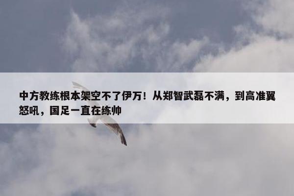 中方教练根本架空不了伊万！从郑智武磊不满，到高准翼怒吼，国足一直在练帅