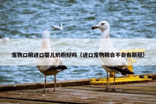 宠物口粮进口婴儿奶粉好吗（进口宠物粮会不会有新冠）