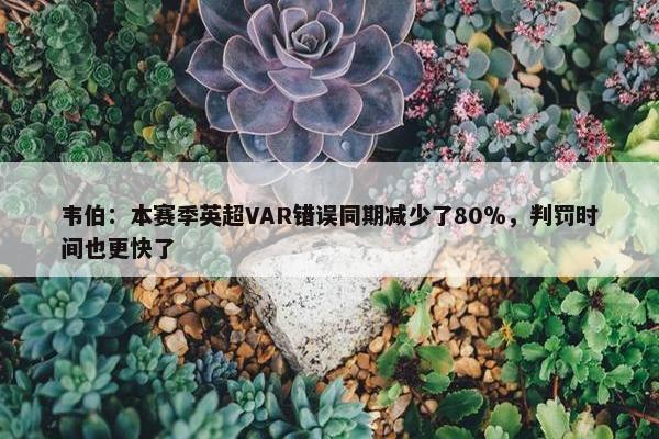 韦伯：本赛季英超VAR错误同期减少了80％，判罚时间也更快了