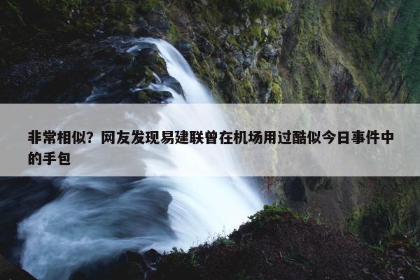 非常相似？网友发现易建联曾在机场用过酷似今日事件中的手包