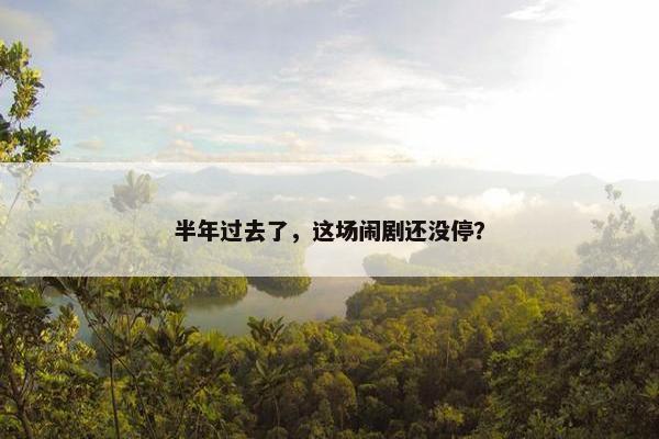 半年过去了，这场闹剧还没停？