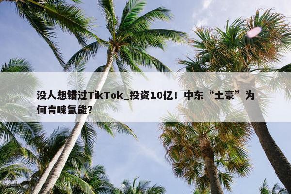 没人想错过TikTok_投资10亿！中东“土豪”为何青睐氢能？