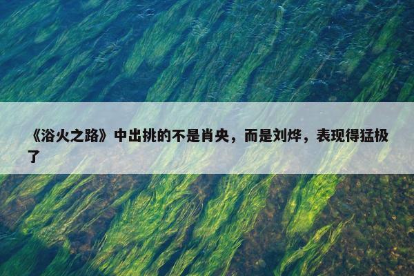 《浴火之路》中出挑的不是肖央，而是刘烨，表现得猛极了