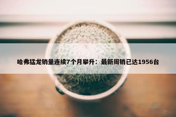 哈弗猛龙销量连续7个月攀升：最新周销已达1956台