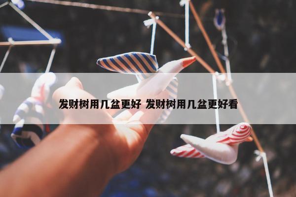 发财树用几盆更好 发财树用几盆更好看