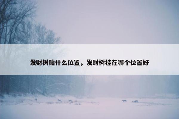 发财树贴什么位置，发财树挂在哪个位置好